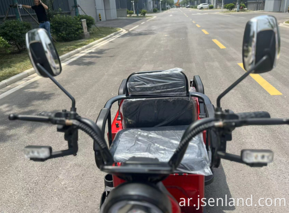 Electric Tricycle with Passenger Seat